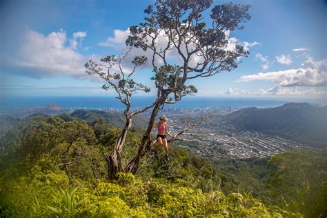 The Mt. Olympus Hike on Oahu Hawaii - The Elevated Moments