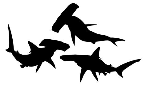 SVG > shark - Free SVG Image & Icon. | SVG Silh