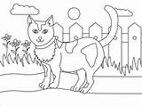Katze Am Zaun Färbung Seite  Kostenlose Druckbare Malvorlagen Für Kinder sketch template