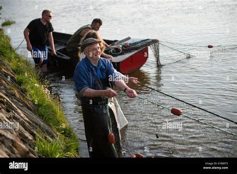 Seine netters on the Dyfi: Licensed fishermen using traditional 'seine ...