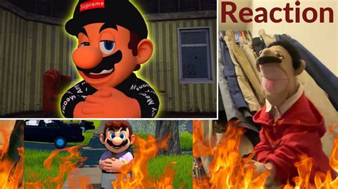 Smg4 If Mario Was In Disney Reaction Puppet Reaction - vrogue.co