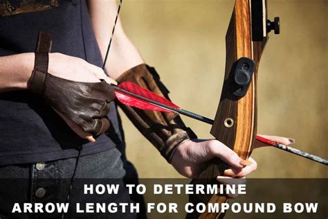 How to Determine Arrow Length for Compound Bow