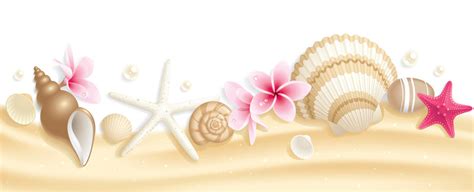 Seashell Border Clip Art