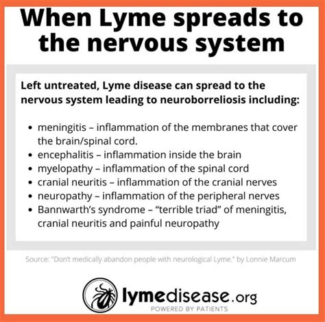 LymeDisease.org on Instagram: “Neurological Lyme disease symptoms are ...