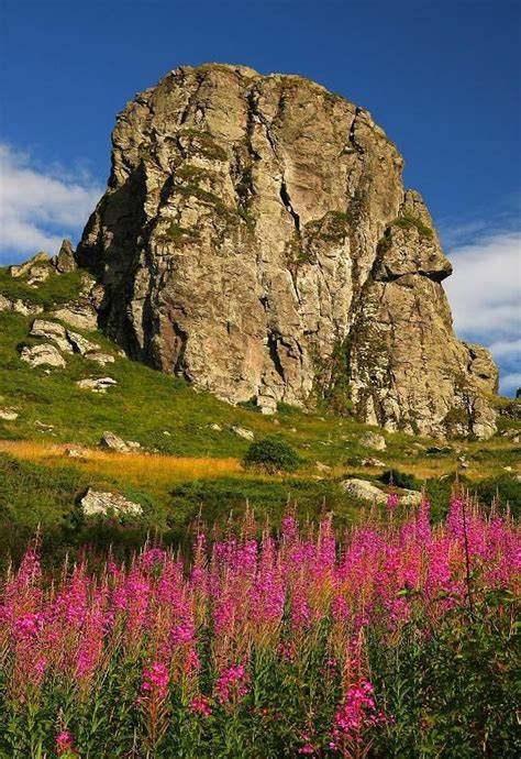 20 best images about Nature in Serbia on Pinterest | Legends, The old ...