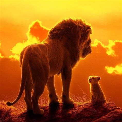 Wallpapers | Images | Picpile: Lion King Animated Ultra HD Wallpapers