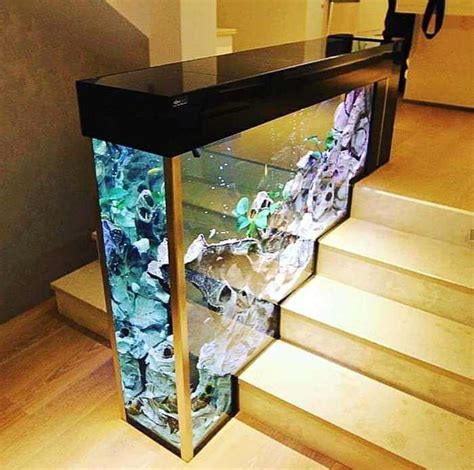 All You need to Know about Wall Aquarium in House!