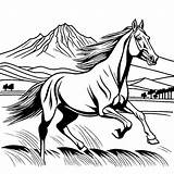 Horse Coloring Pages sketch template