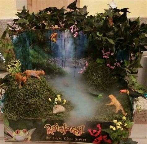 Tropical rainforest Diorama | Rainforest project, Habitats projects ...