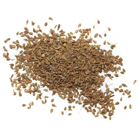 Anise - Buy online | Spice Trekkers