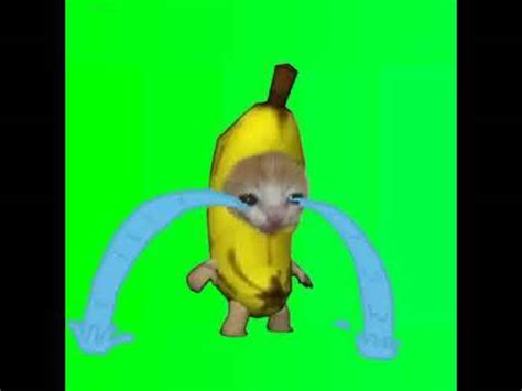 Banana cat crying green screen - Download MP4