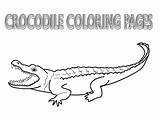 Free Printable Crocodile Coloring Pages For Kids sketch template