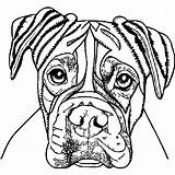 Boxer Breed Dog Coloring Page · Creative Fabrica sketch template