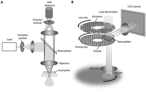 Introduction to Spinning Disk Confocal Microscopy