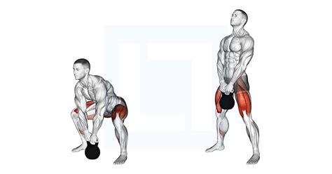 Kettlebell Sumo Deadlift - Guide, Benefits, and Form