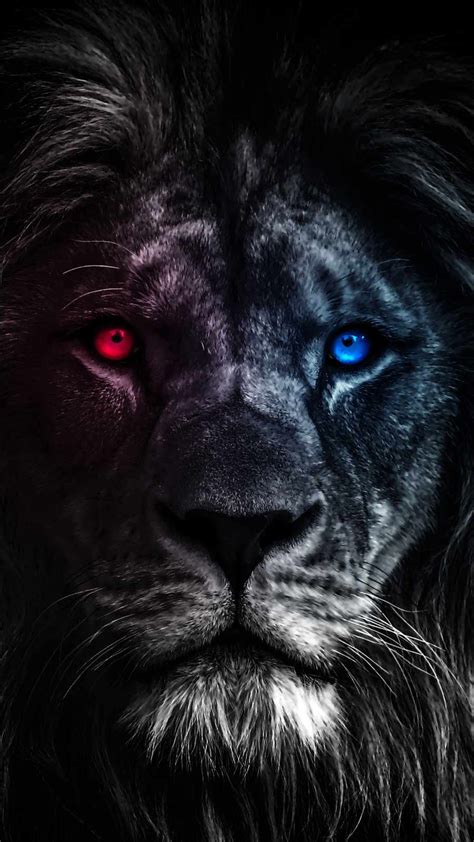 King Lion Eyes IPhone Wallpaper - IPhone Wallpapers : iPhone Wallpapers Lion Wallpaper Iphone ...