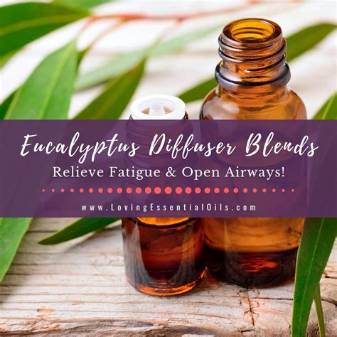 Eucalyptus Diffuser Blends - 10 Respiratory Essential Oil Recipes