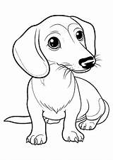 Premium Vector  Dachshund Coloring Page Line Art sketch template