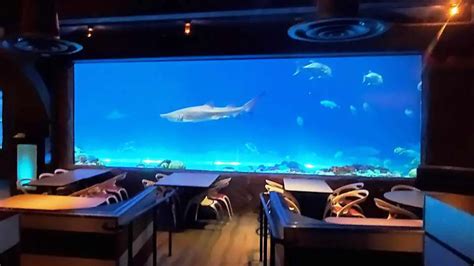 Sharks Underwater Grill® And Full Dining Menu SeaWorld Orlando | lupon ...