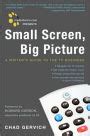 Small Screen, Big Picture: A Writer's Guide to the TV Business by Chad Gervich | eBook | Barnes ...