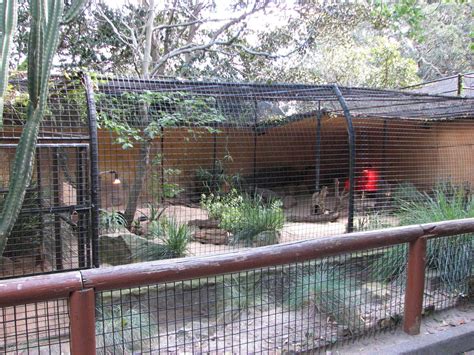 Pin by Peter Amelia on Aviaries and Enclosures | Zoo architecture, Pet ...