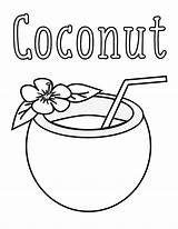 Coconut Coloring Pages  Best For Kids sketch template