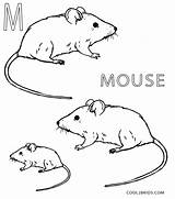 Starry Niitez Coloring Pages For Kids Mice sketch template