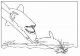 Free Printable Shark Coloring Pages For Kids sketch template