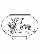 Aquarium  Lol Coloring Pages Monterey bay aquarium sketch template