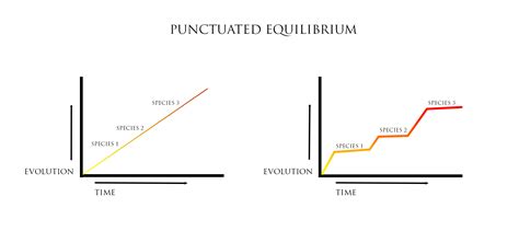 How to Change Your Life Using Punctuated Equilibrium