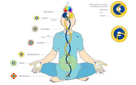 Kundalini Kriyas Of Kriya Yoga The Meaning And Benefits –, 56% OFF