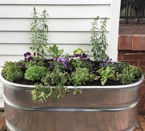 Creative Ways to Use Cattle Troughs in the Garden • Gardenary