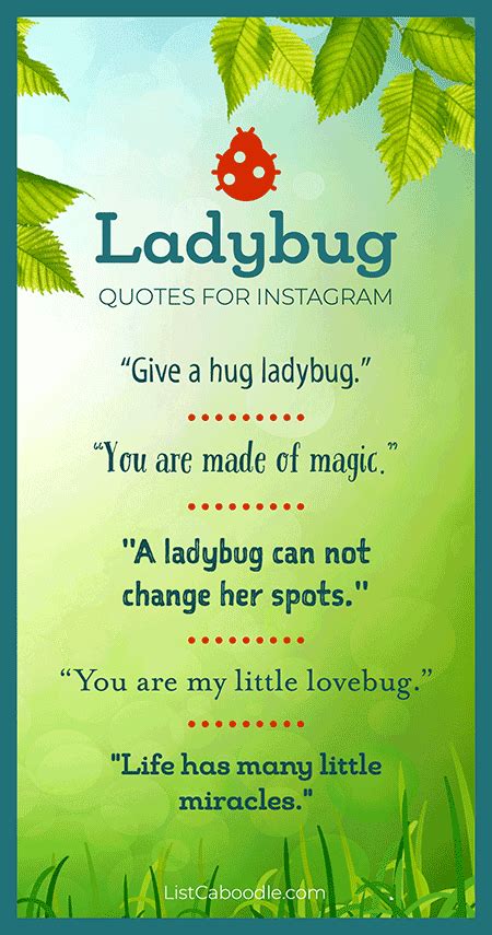 50+ Ladybug Quotes (To Bring You Good Luck!)