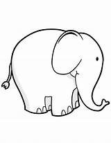 Elephant Coloring Pages To Print  Home sketch template