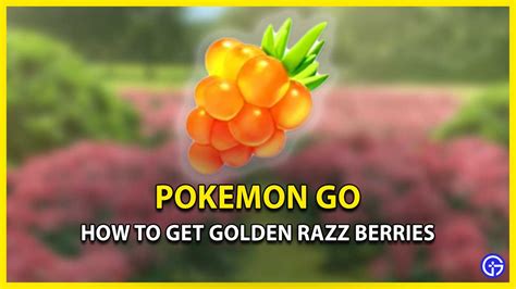 How To Farm Golden Razz Berries In Pokemon Go - Gamer Tweak