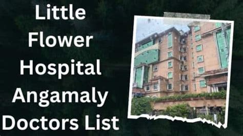 Little Flower Hospital Angamaly Doctors List