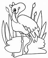 Preslatki Flamingo bojanje  ColoringLib sketch template