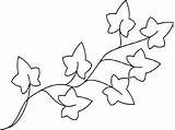 Ivy Coloring Pages  Best For Kids sketch template