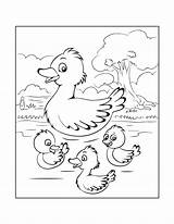 Free DUCK Coloring Pages For Download Printable PDF  VerbNow sketch template