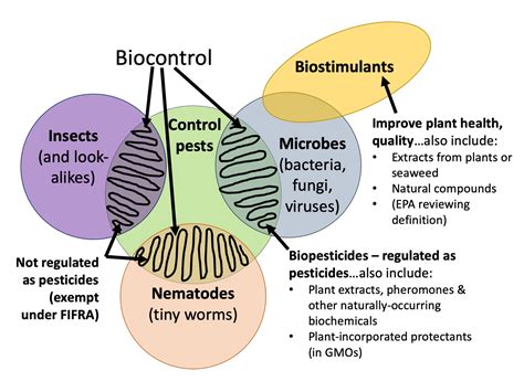 Biocontrols, biopesticides, biostimulants, oh my! | Biocontrol Bytes