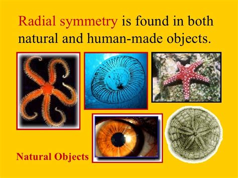 Radial symmetry