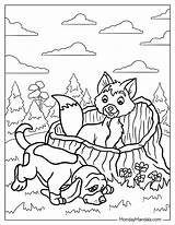 20 Fox And The Hound Coloring Pages Free Printables sketch template