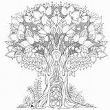 Johanna Basford Coloring Book Enchanted Forest Sketch Page sketch template