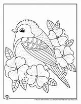 Coloring Birds Pages sketch template