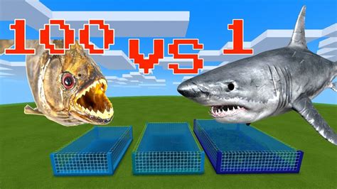 100x Piranhas vs 1 Shark - YouTube