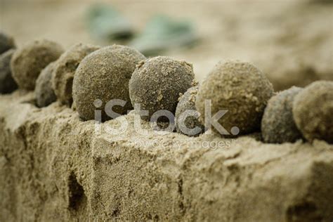 Beach Sand Ball Sculpture Stock Photo | Royalty-Free | FreeImages