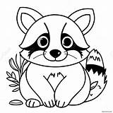 Raccoon Coloring Page 7381 6065 sketch template