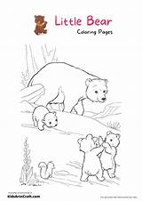Hibernating Bear Coloring Sheet Sketch Page sketch template