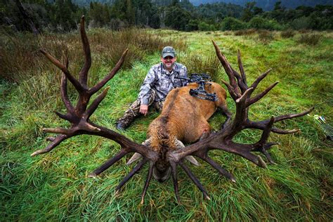 New Zealand Red Stag - Quality Hunts