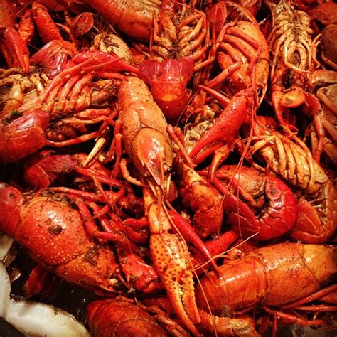 Crawfish Season in New Orleans 2024-2025 - Rove.me